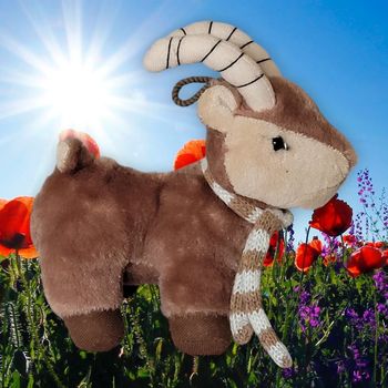 Peluche bouquetin 🐐