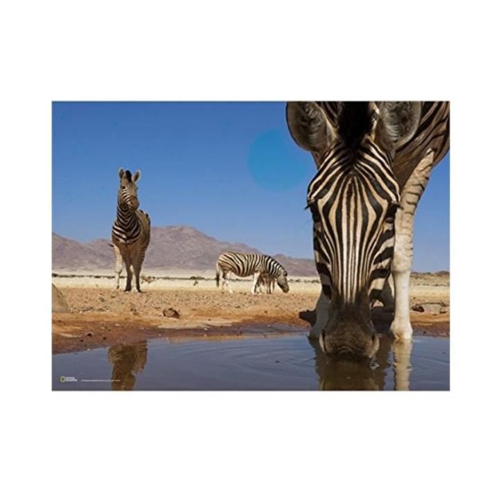 CLEMENTONI PUZZLE NATIONAL GEOGRAPHIC ZEBRE AU BORD DE L'EAU 1000 PIECES 94916 - photo numéro 2