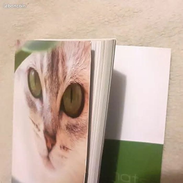 Gros agenda de chats, photos/citations - photo numéro 4