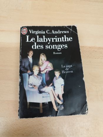 Virginia C. Andrews

Le labyrinthe des songes

Roman