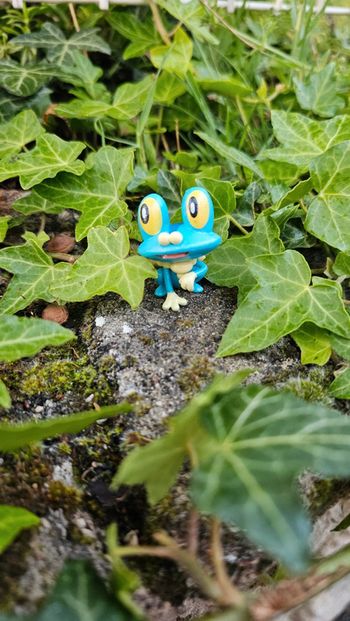 Super figurine Pokemon Nintendo Grenousse