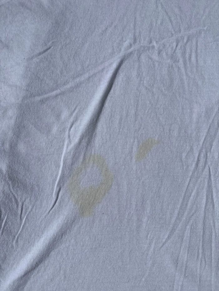T-shirt U.S. Polo Assn blanc homme - Taille XL - photo numéro 4