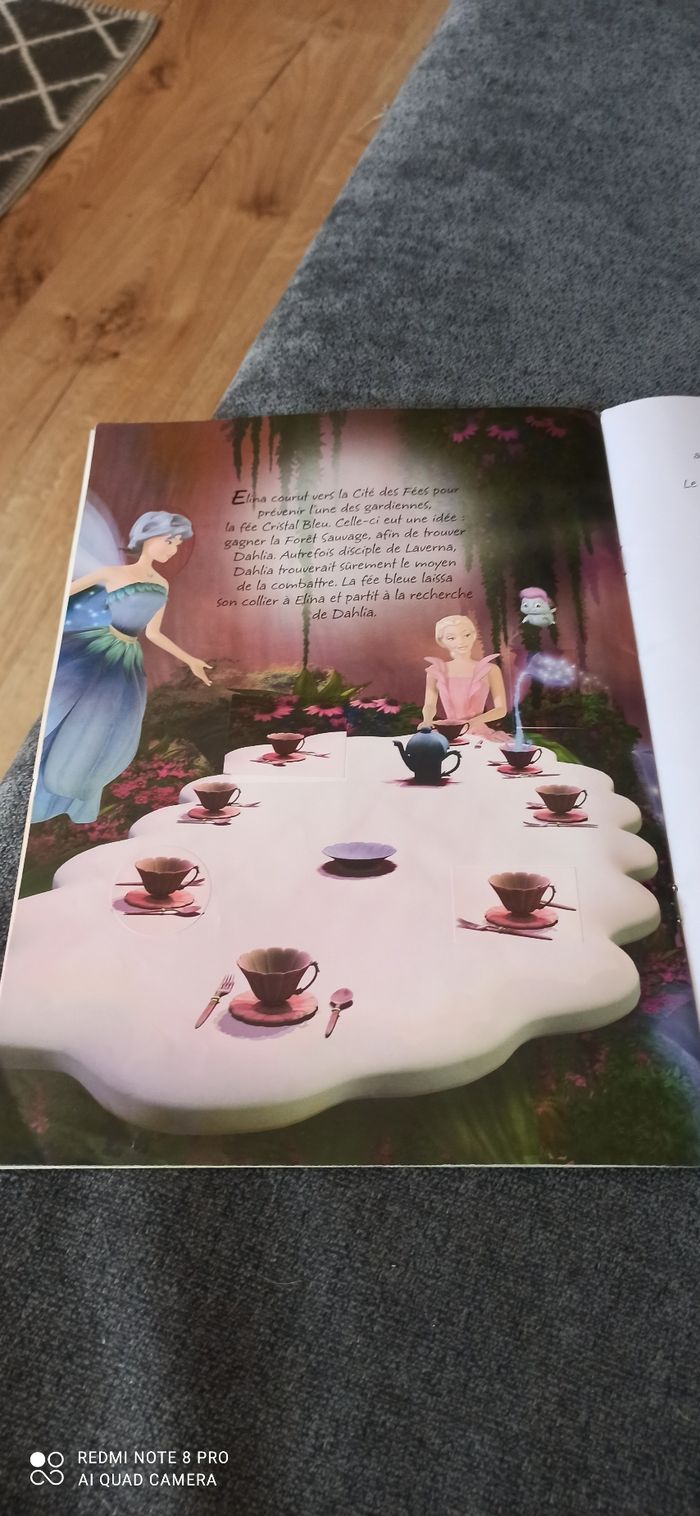 Livre barbie - photo numéro 2