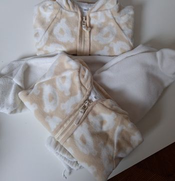 Ensemble Polaire jumeau