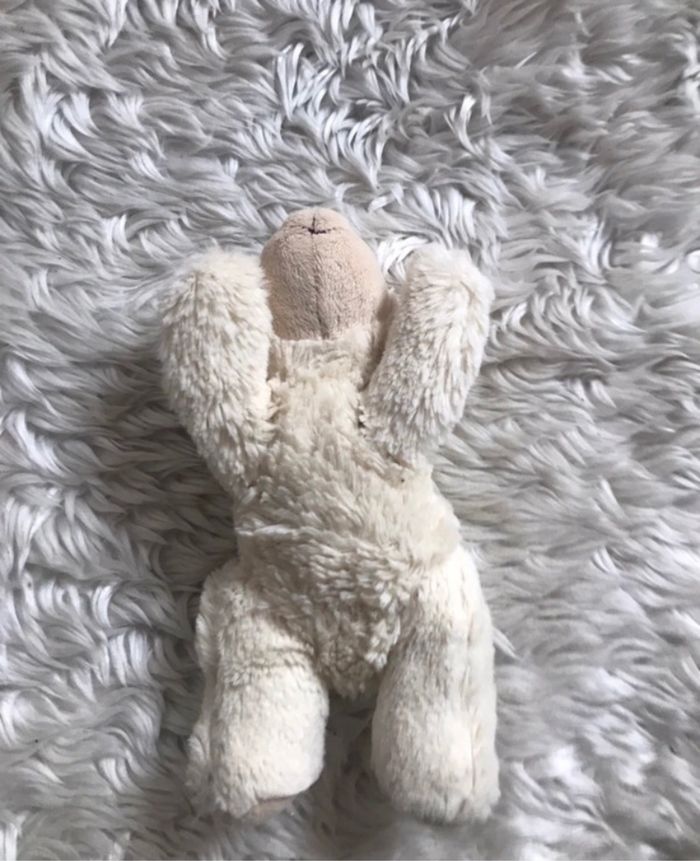Peluche - photo numéro 2