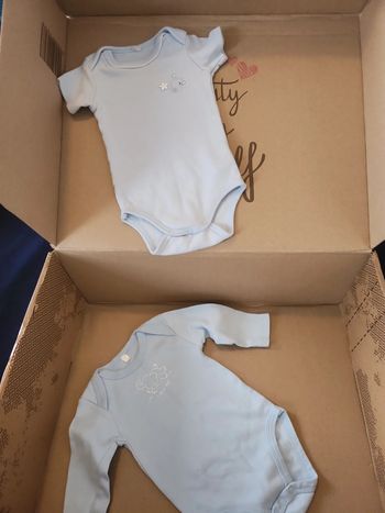 Lot 2 bodies