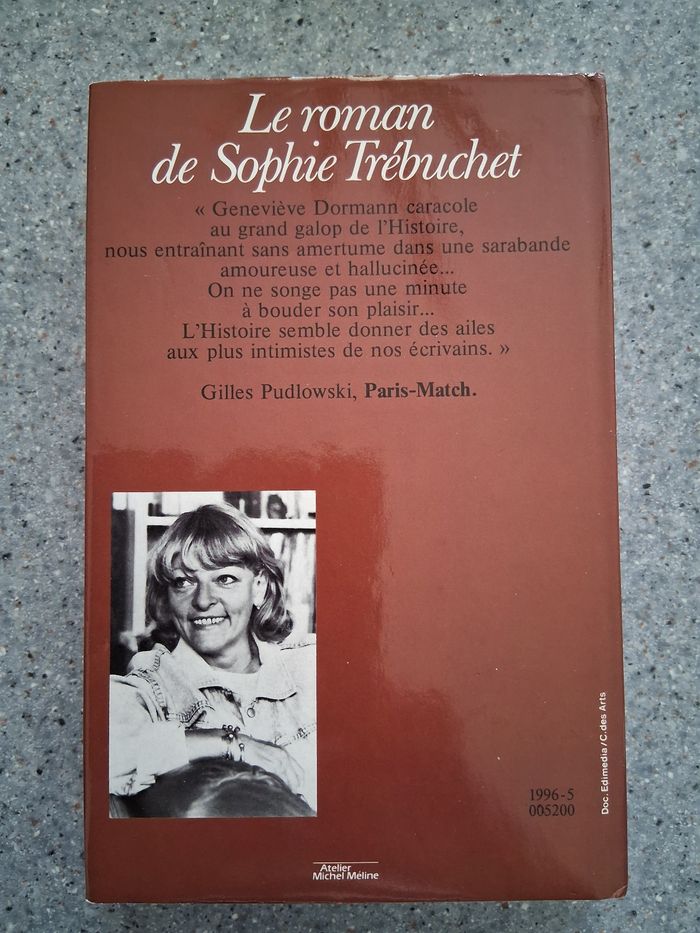 Le roman de Sophie trébuchet - photo numéro 2