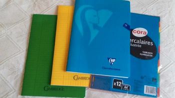 Lot fournitures scolaires NEUF cahiers + intercalaires