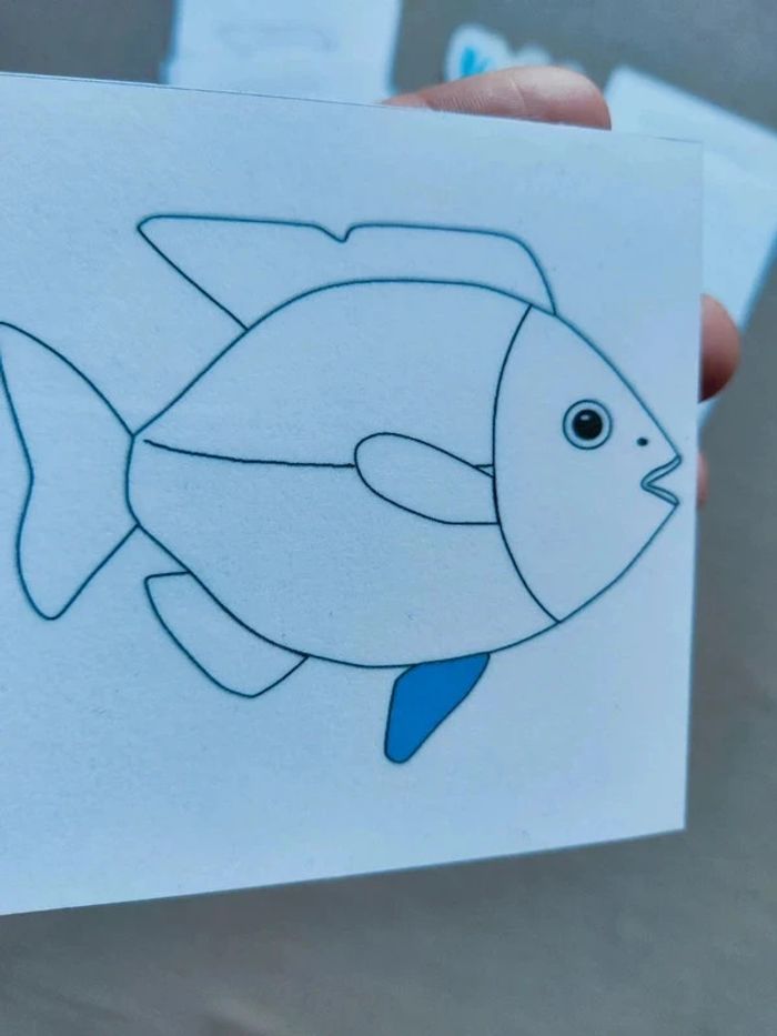 Cartes de nomenclature du poisson - photo numéro 4