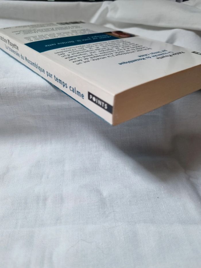 La traversée du Mozambique par temps calme - photo numéro 3