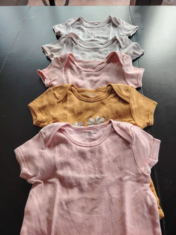 Lot bodies manches courtes