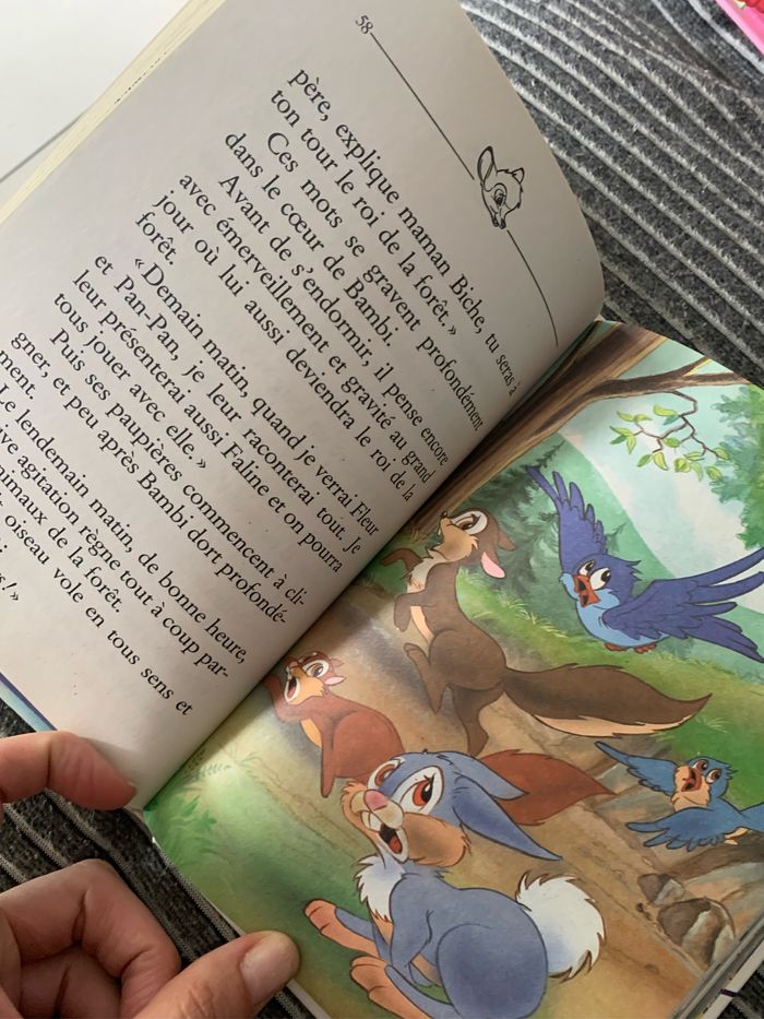 Livre - photo numéro 3