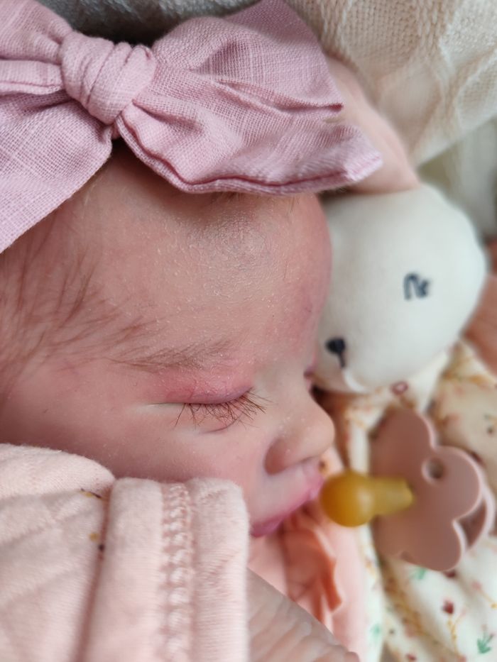 Poupée reborn  Primrose by Laura Lee Eagles - photo numéro 4