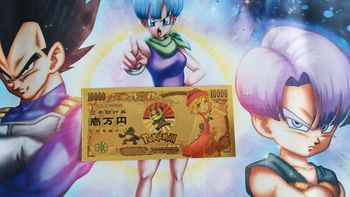 Billet Pokemon Dresseur Collector Pocket Monster card carte ticket goodies