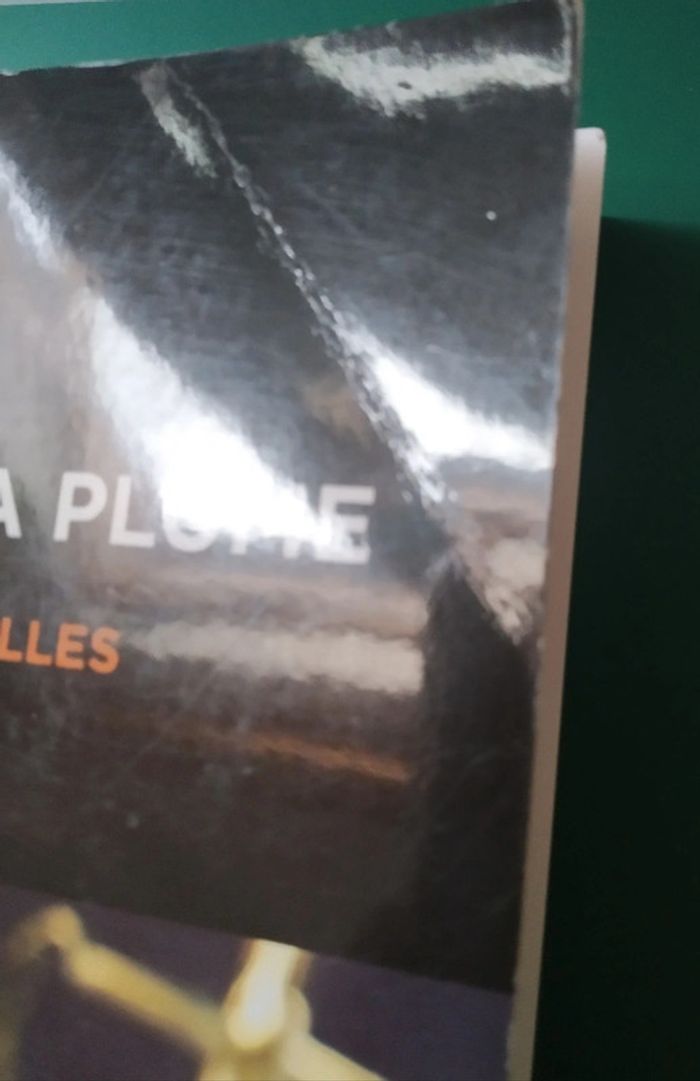 La robe et la plume - photo numéro 3