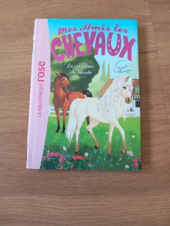 Livre bibliothèque rose mes amis les chevaux