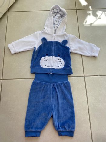 Ensemble hippopotame