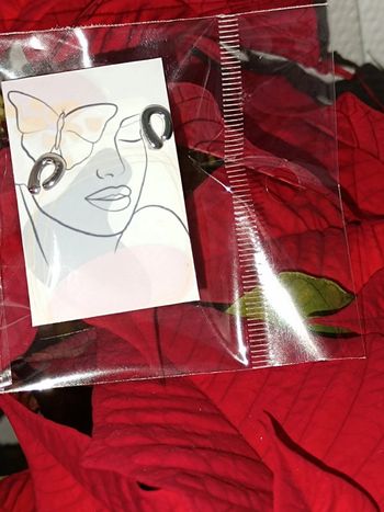 Boucle d'oreille argenté fer à cheval 🐴