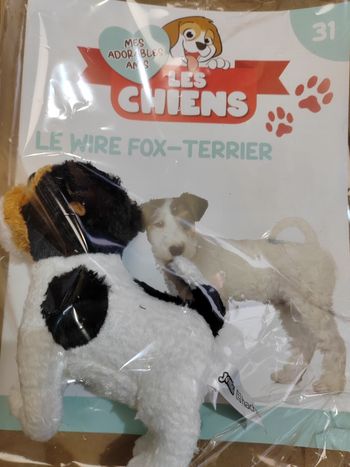 Mes adorables amis les chiens 31