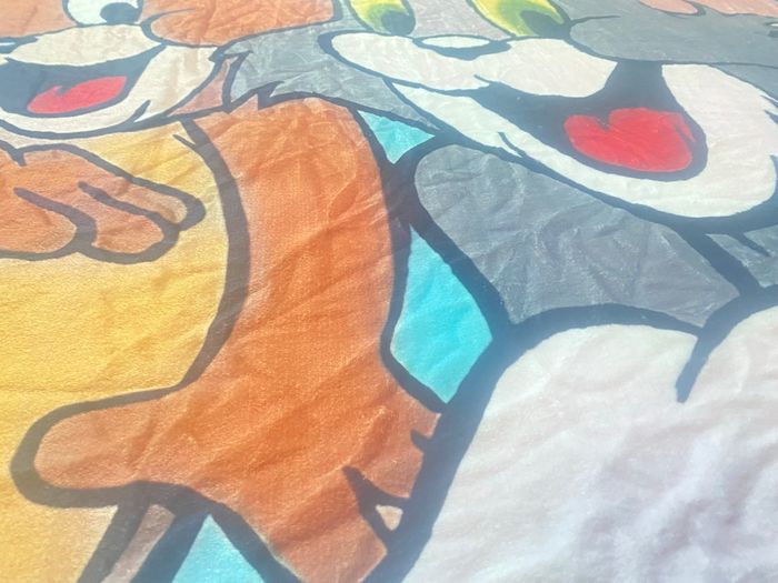 Couverture Tom & Jerry - photo numéro 3