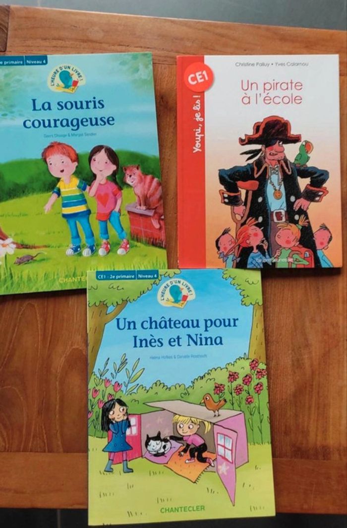 Lot de 20 livres pour enfants de 6 à 11 ans - photo numéro 4