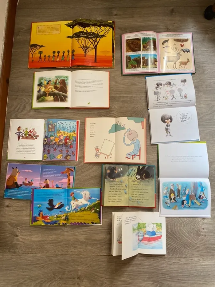 livres pour enfant samsam foret couleurs bisous  kirikou livre de la jungle - photo numéro 3