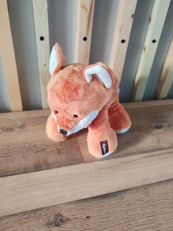 Renard orange kaloo les amis