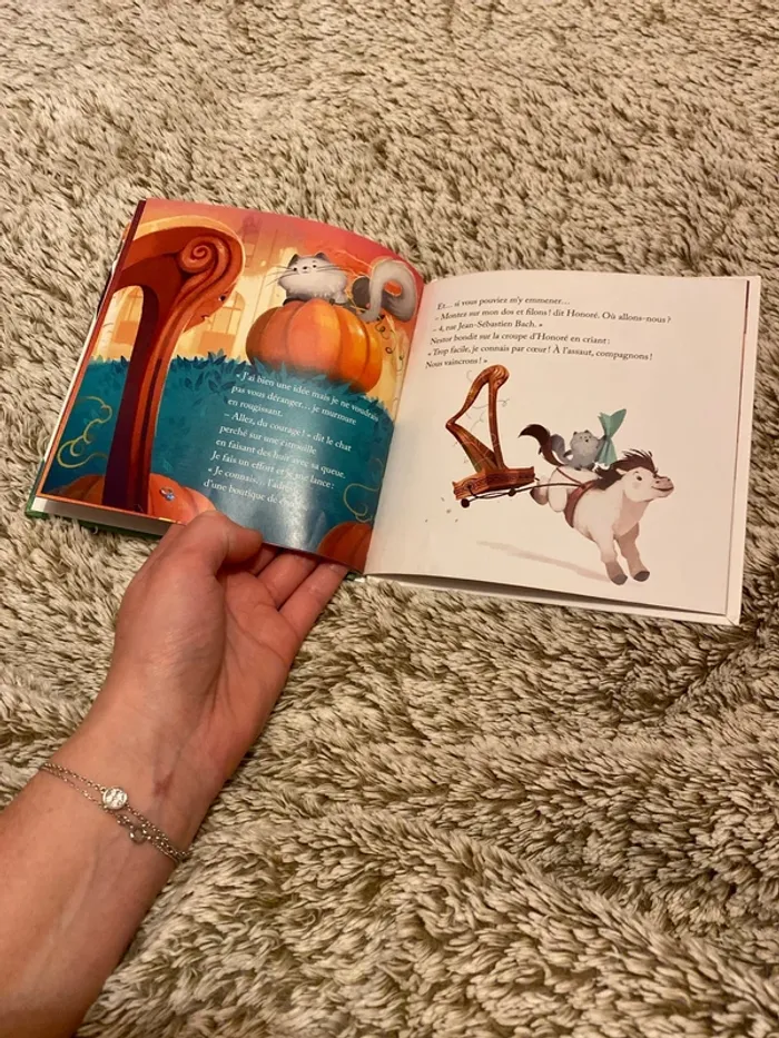 Lot de 2 livres - photo numéro 11