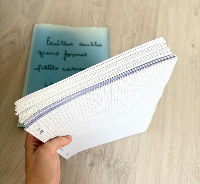 160 feuilles doubles - photo numéro 2