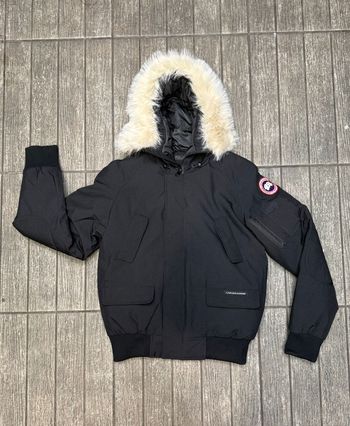 Canada goose