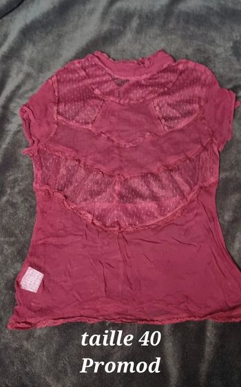 Chemise bordeaux transparente