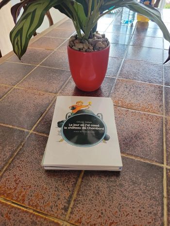 Le jour où j ai cassé le château de Chambord