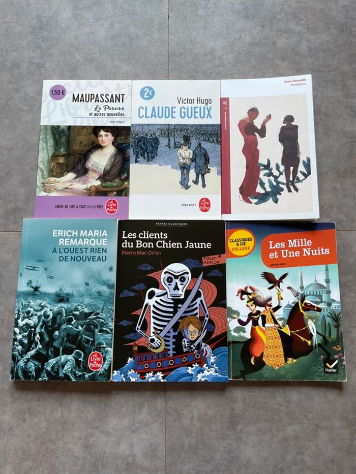 Lot de 6 livres collège