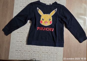 Sweat pokemon