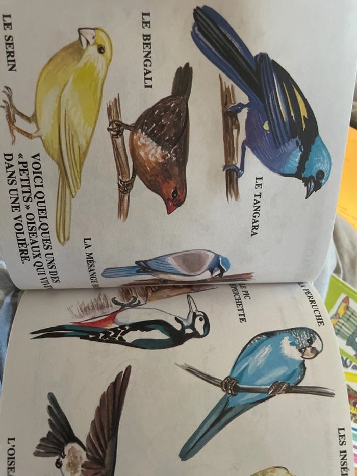 Livre Comme un grand Les oiseaux Les poissons Les chats - photo numéro 9