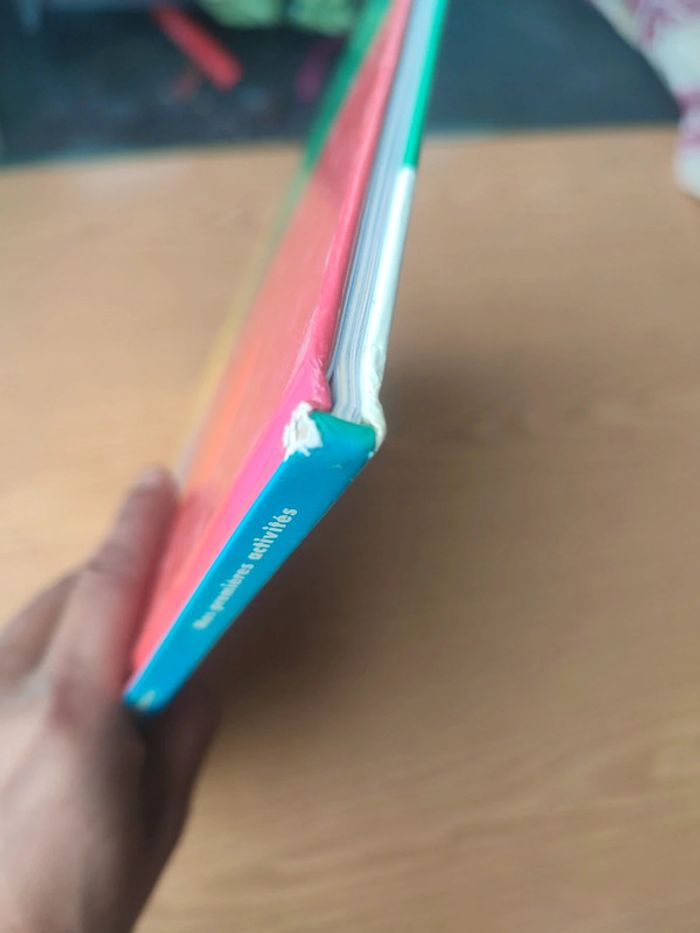 Livre papier mâché et autre modèles - photo numéro 5