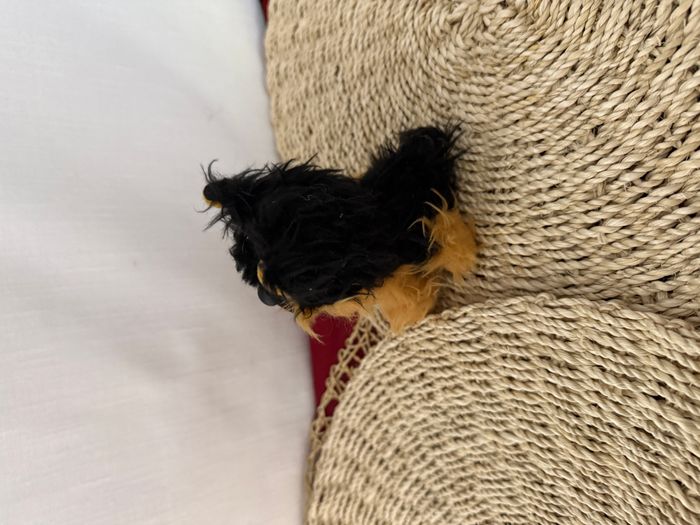 Peluche KD Kids Rescue Runts Berger allemand - photo numéro 3