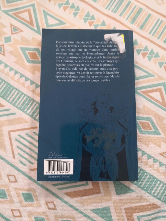Livre enfant les chroniques de Braven Oc - photo numéro 2