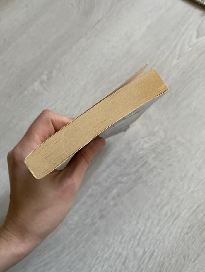 Livre Cujo Stephen King - photo numéro 5