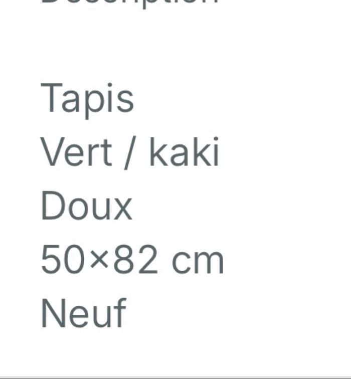Tapis - photo numéro 3