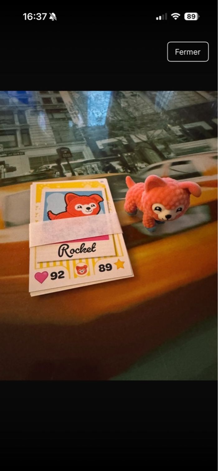 Rocket i love puppies