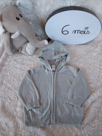 Gilet zippé avec capuche Garçon 6 mois Obaïbi 100% coton