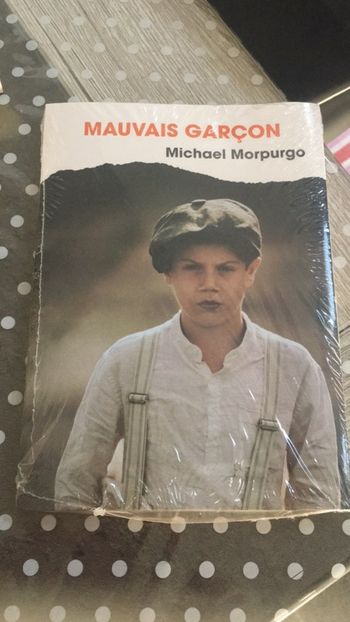 Livre mauvais garçon