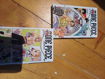 One piece 17 et 18