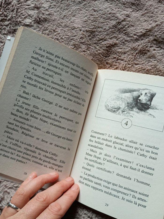 Livre Réglisse a disparu - photo numéro 2