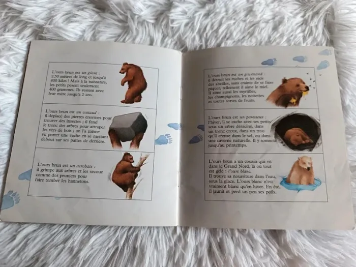 Livre Un bon petit ourson _ A toutes pattes _ Nathan ( vintage 1999 ) - photo numéro 7