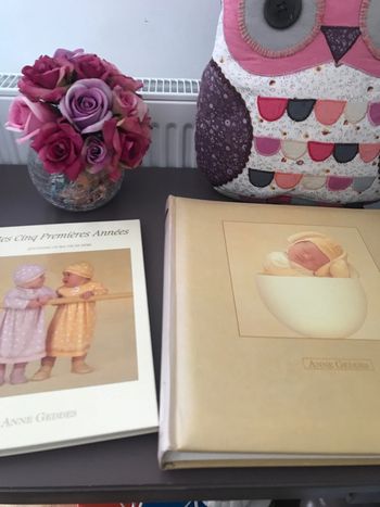 Album livre naissance Anne Geddes