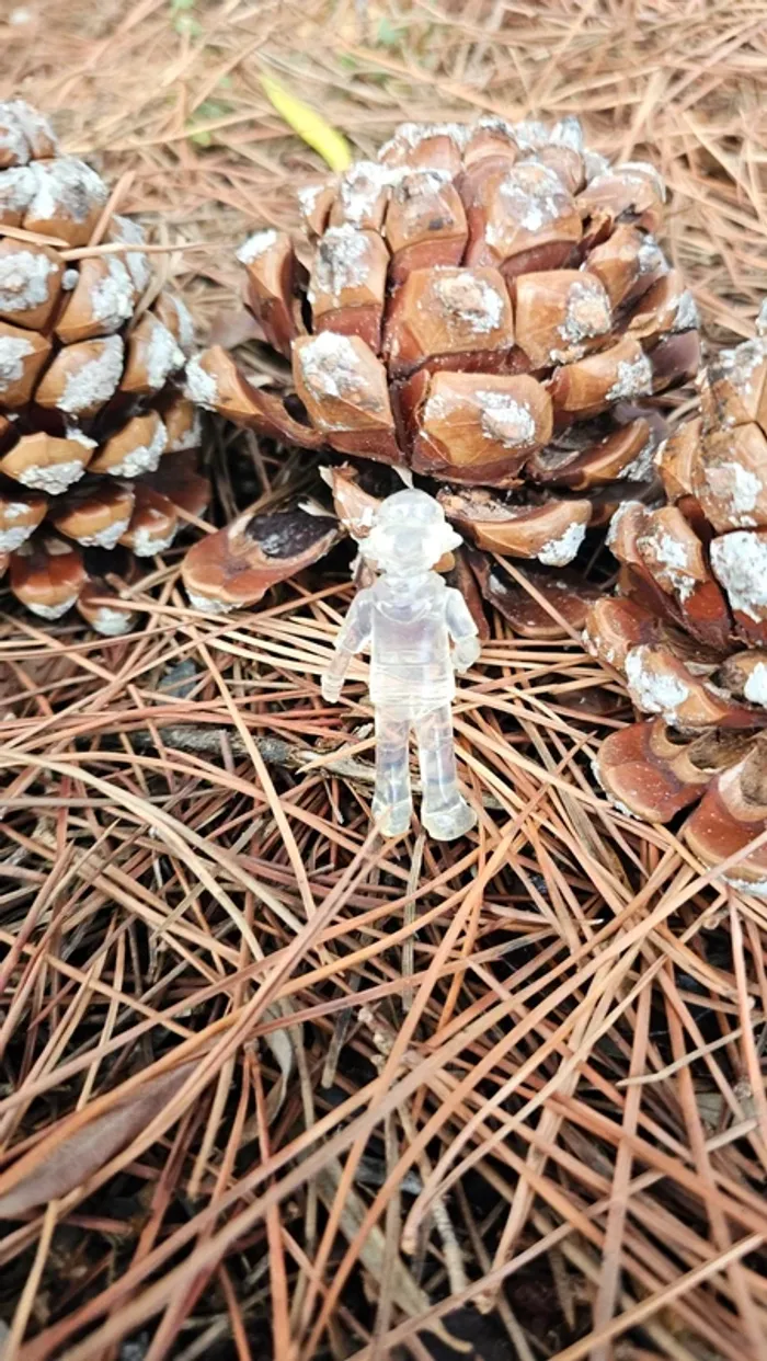 Super figurine Pokemon Nintendo sacha transparente - photo numéro 3