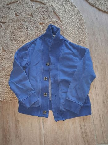 Beau gilet vert baudet