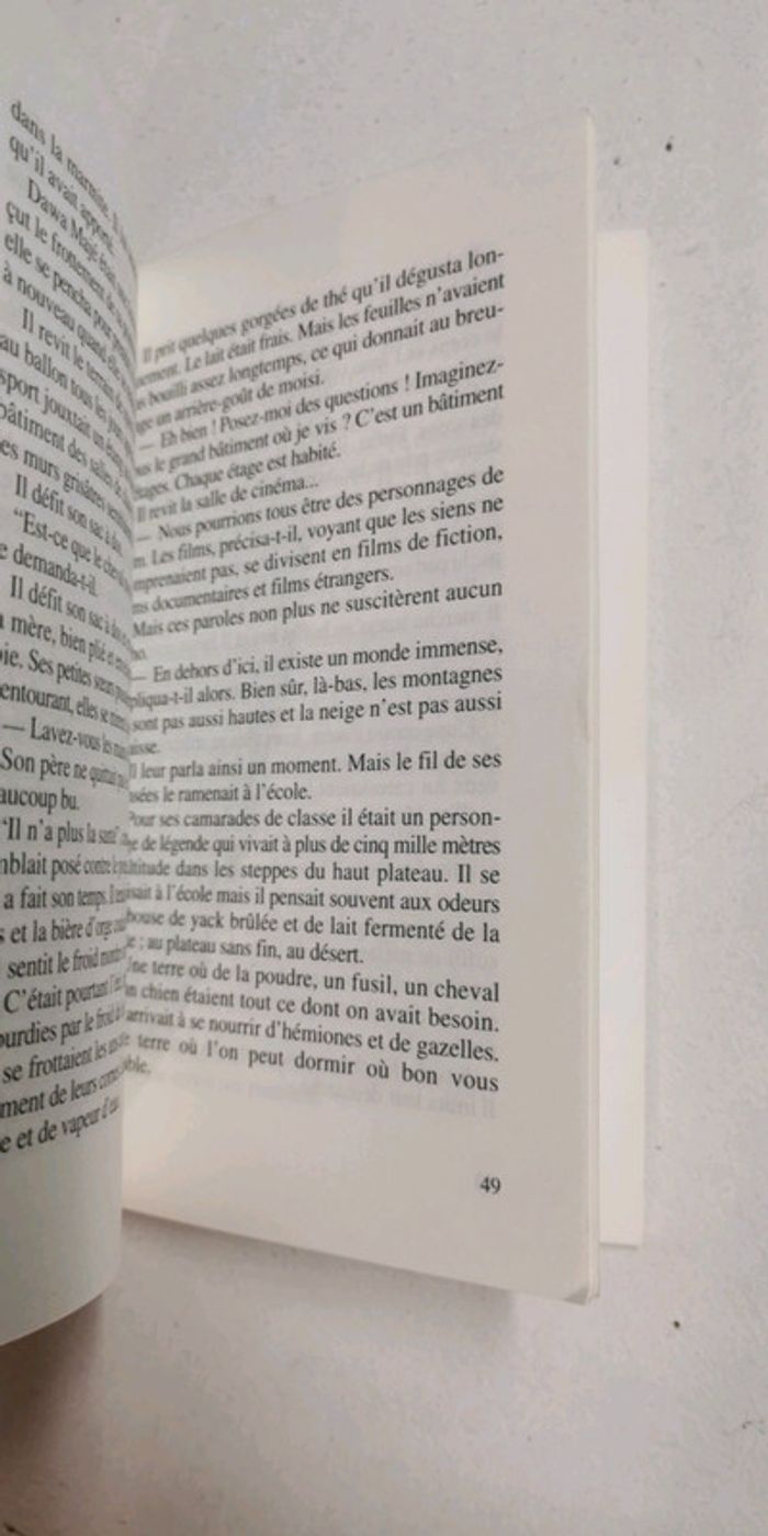 La mendiante de shigatze - photo numéro 3